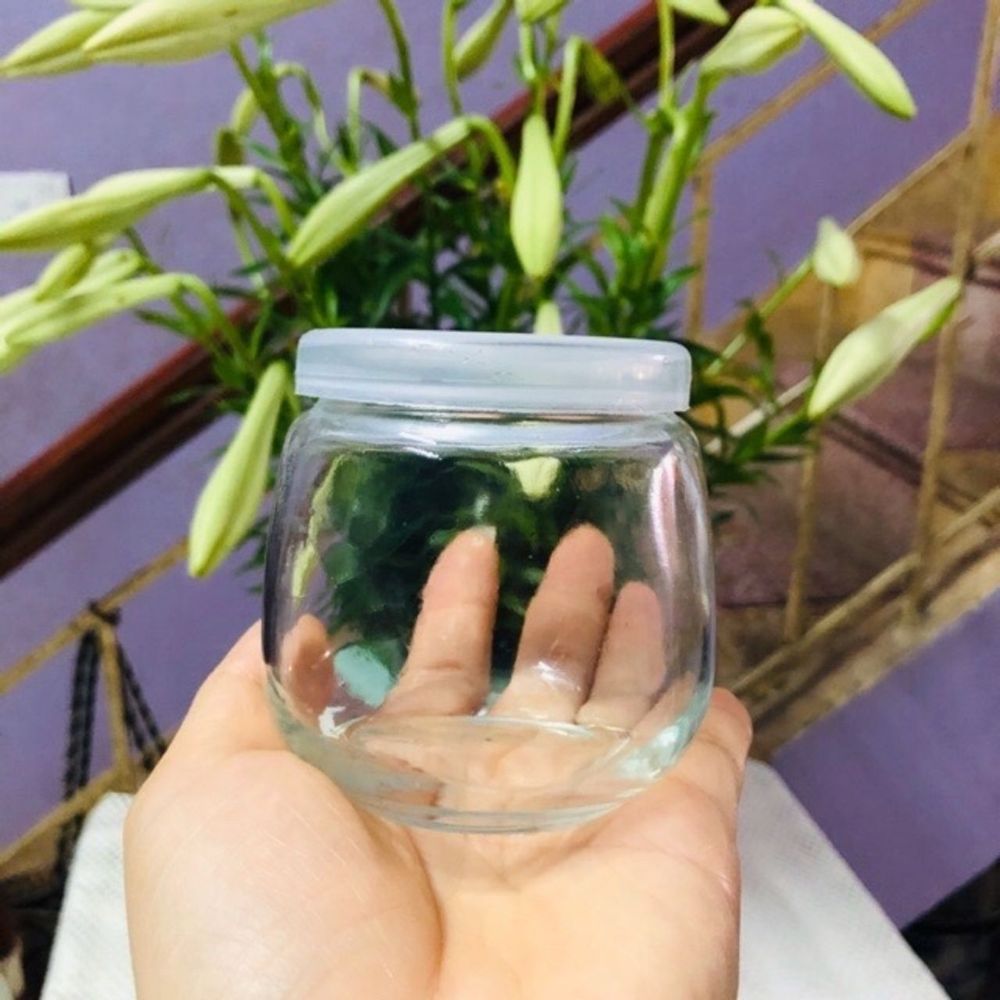 Hũ thủy tinh làm sữa chua, caramen 200ml ( hũ béo)