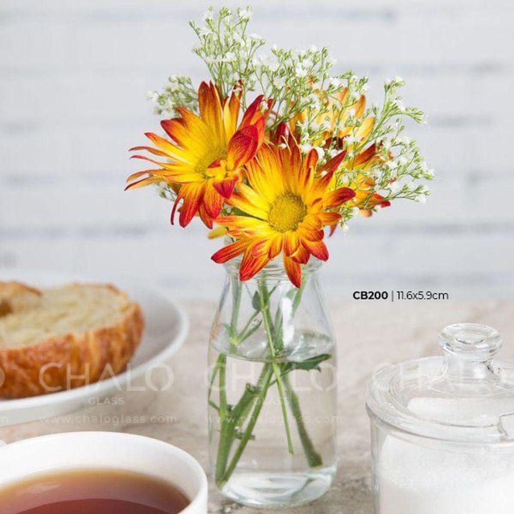 Chai thủy tinh đựng sữa hạt 200ml