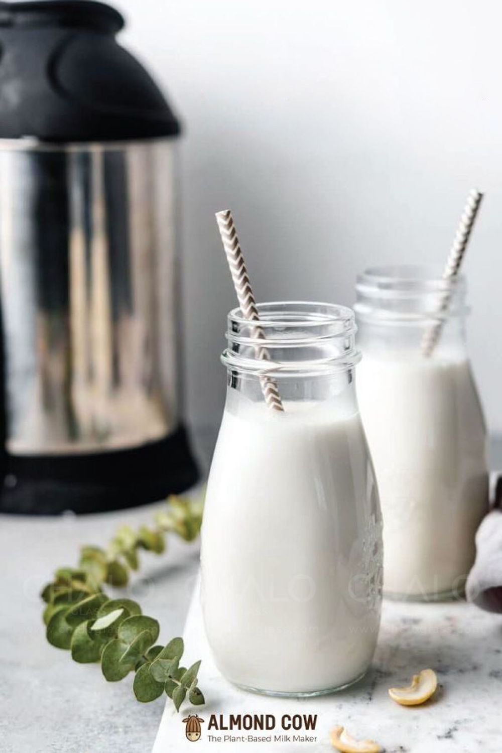 Chai thủy tinh đựng sữa hạt 200ml