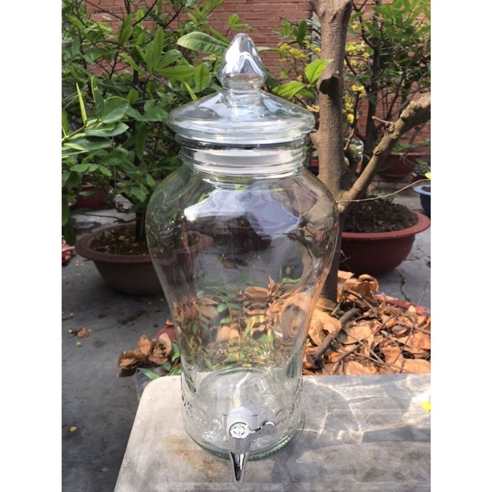 Bình Ngâm Rượu Sâm Hoa Văn Chân Mây Thủy Tinh Có Van & Không Van