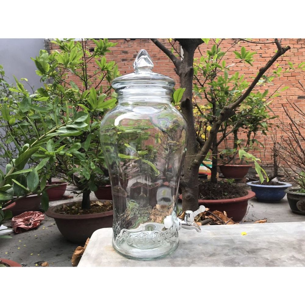 Bình Ngâm Rượu Sâm Hoa Văn Chân Mây Thủy Tinh Có Van & Không Van