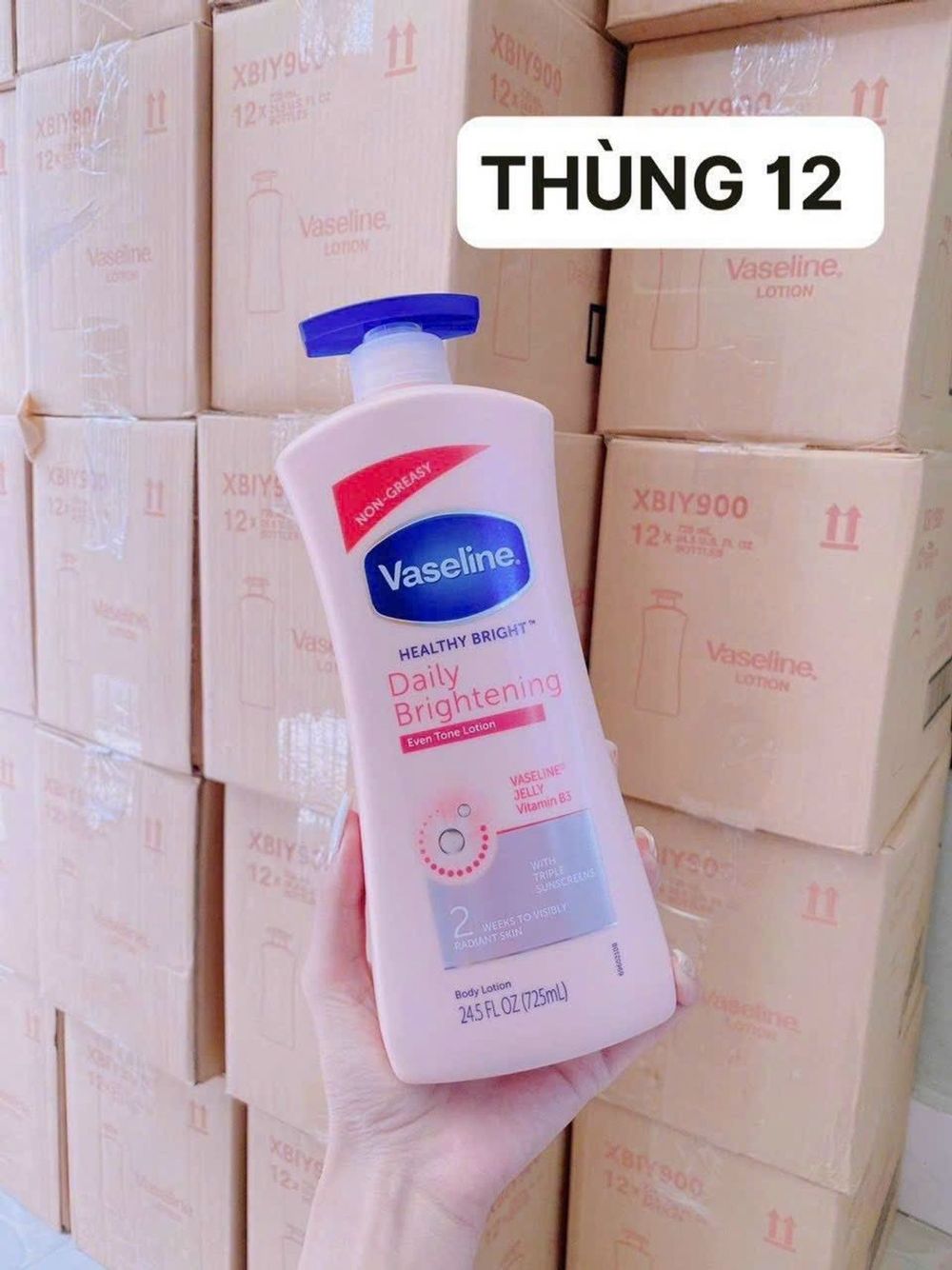 Nơi nhập dữ liệu