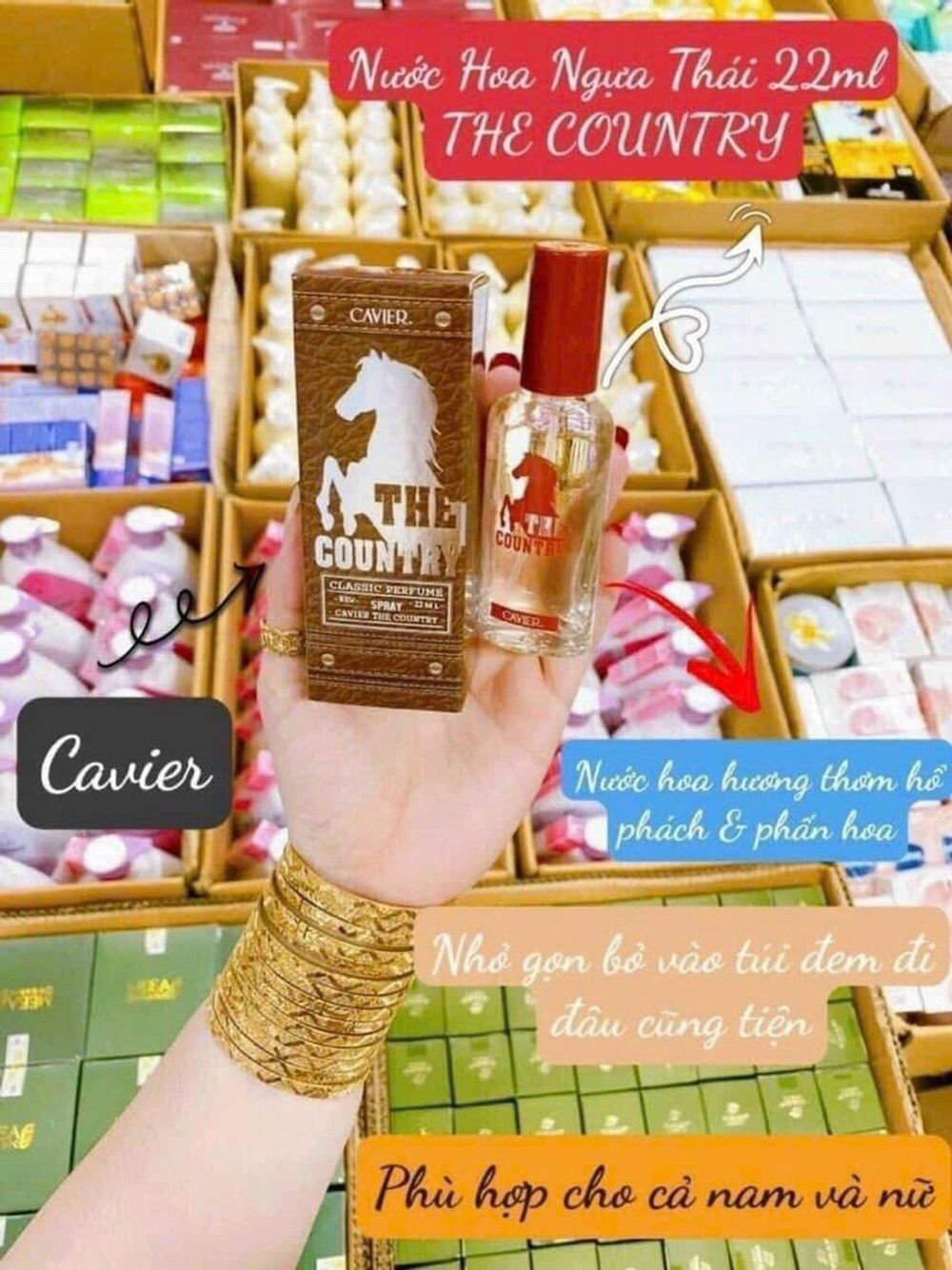 Nơi nhập dữ liệu