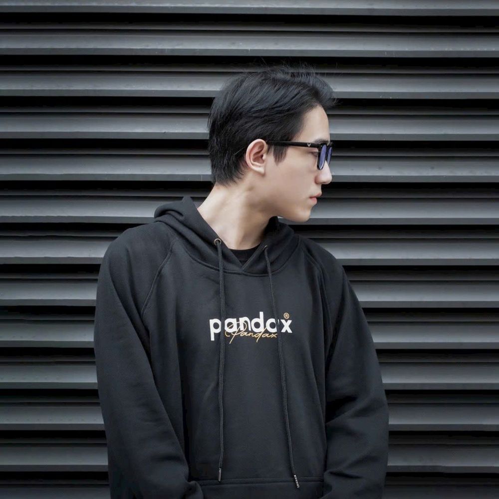 Áo hoodie Unisex local brand in pandax big logo