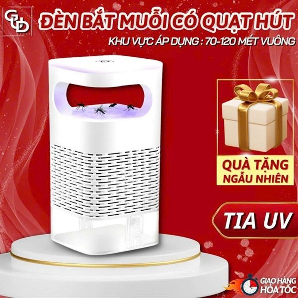 Nơi nhập dữ liệu