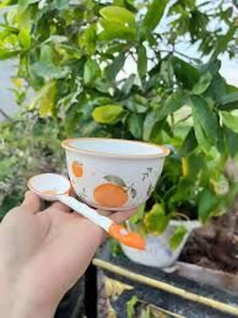 Nơi nhập dữ liệu