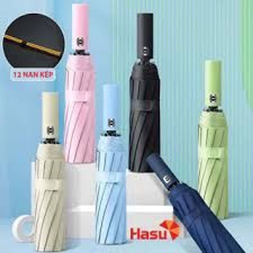 Nơi nhập dữ liệu