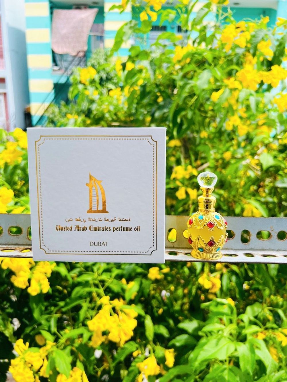 Nơi nhập dữ liệu