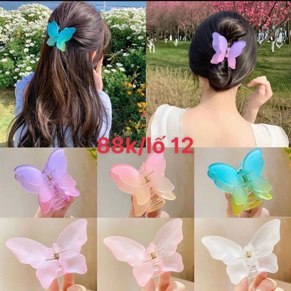Nơi nhập dữ liệu