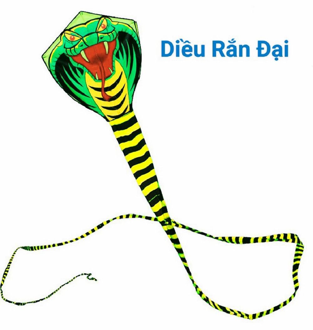 Nơi nhập dữ liệu