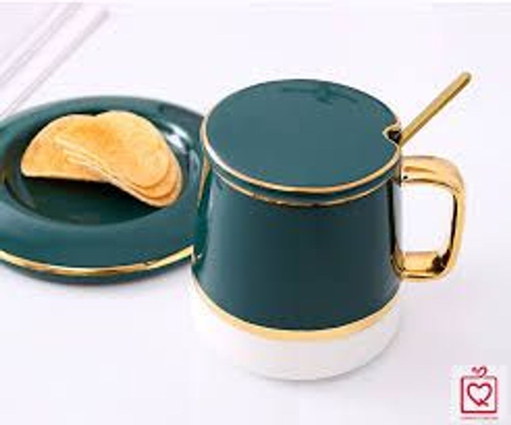 Nơi nhập dữ liệu