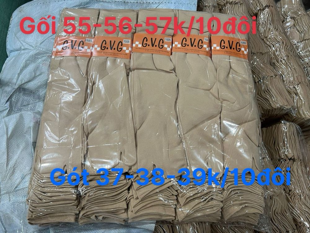 Tất GVG gối