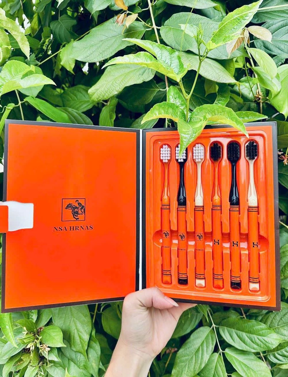 Combo 6 Bàn Chải Đánh Răng Lông Mềm FASHION Kèm Hộp Sang Trọng, Chải Siêu Êm, Làm Sạch Sâu Đánh Sạch Mảng Bám