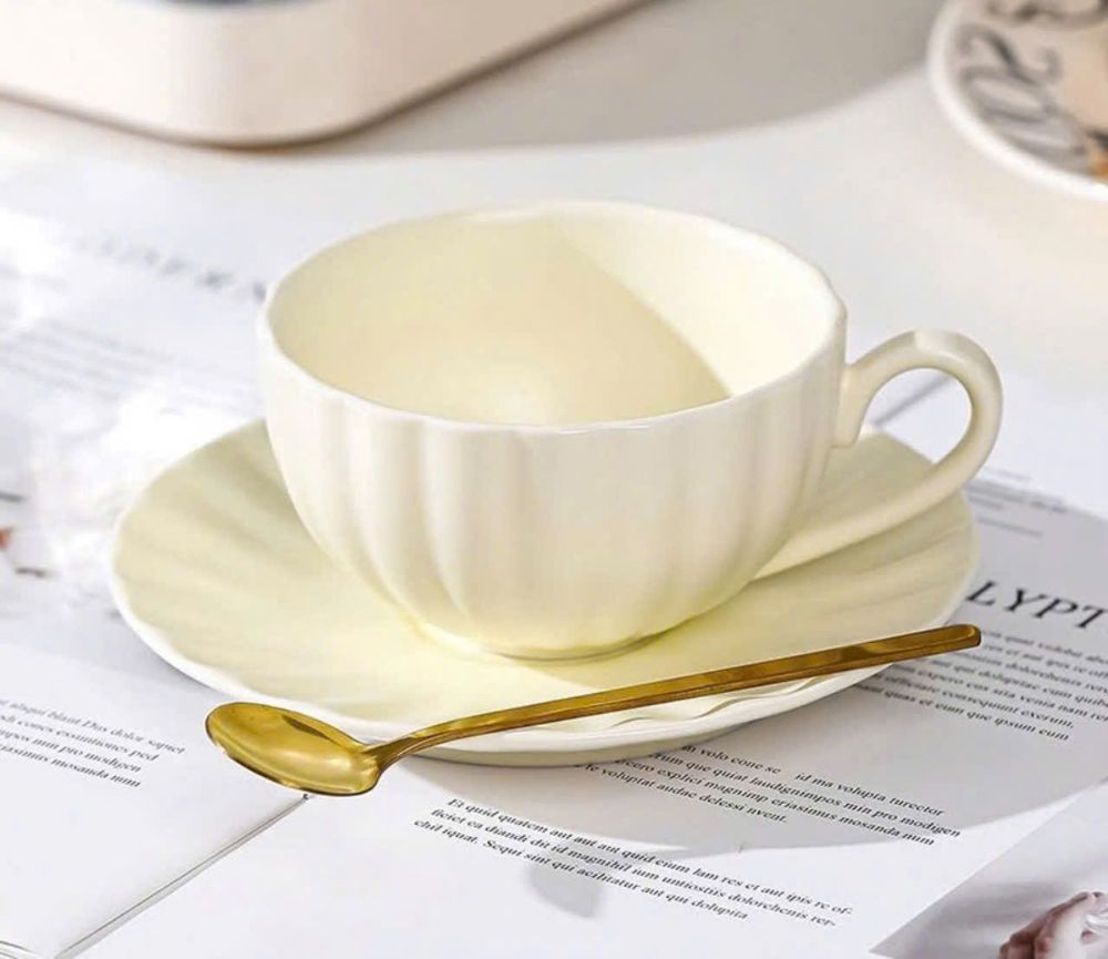 Bộ tách sứ cao cấp dùng làm tách cafe, latte, tách trà nóng TS04