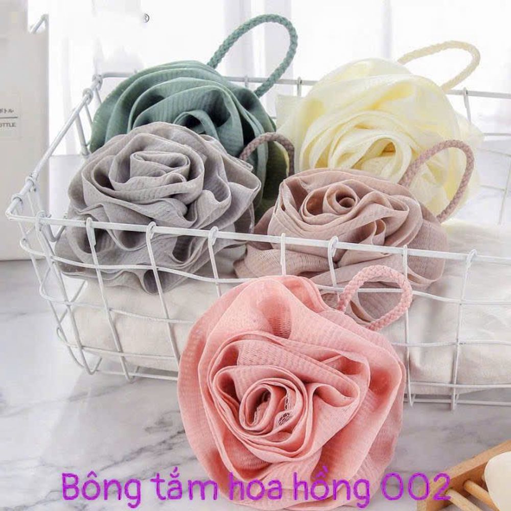 Nơi nhập dữ liệu