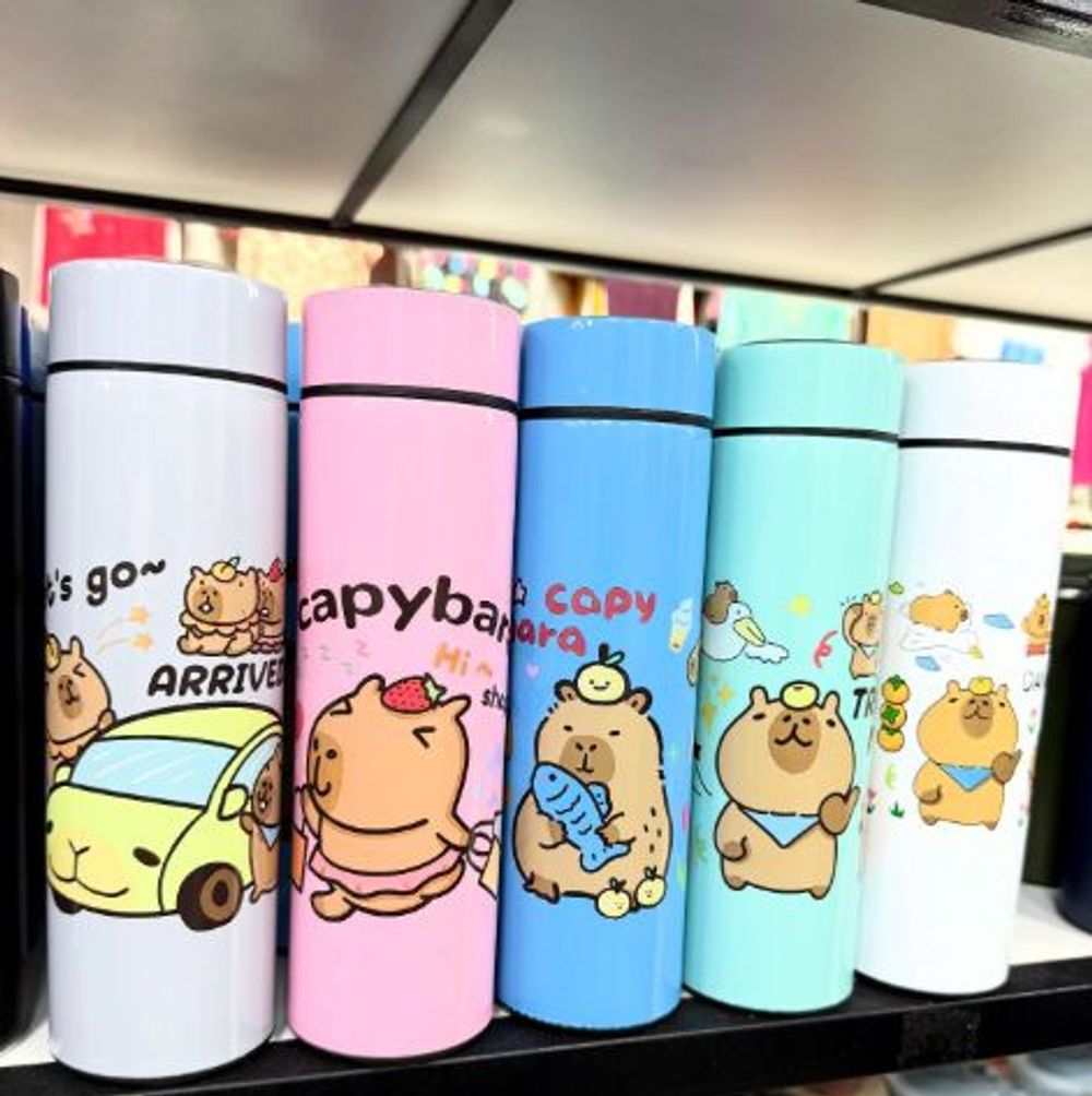 BGN Bình Giữ Nhiệt Họa Tiết Capybara 500ml ( THÙNG 50C )