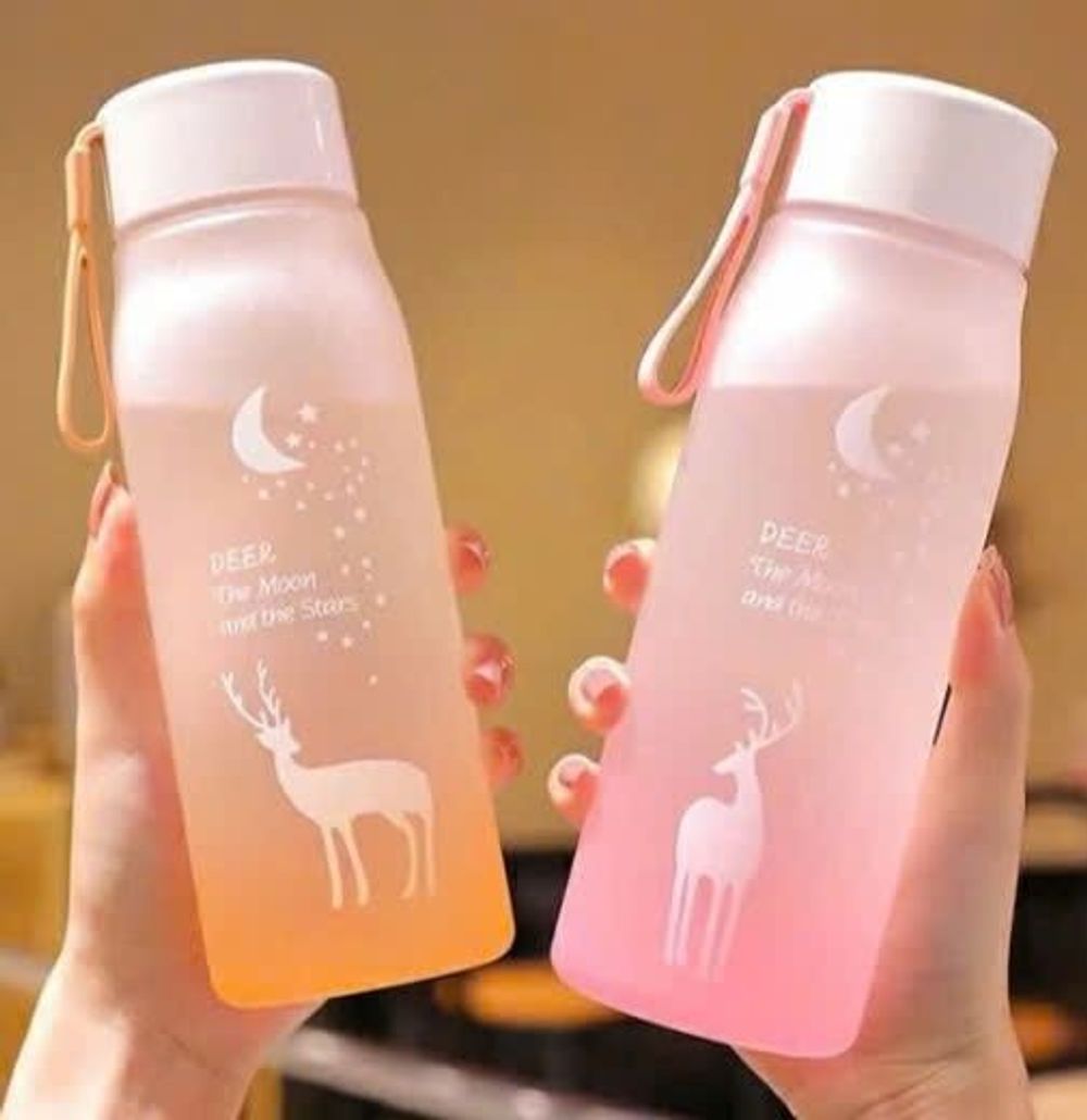 Nơi nhập dữ liệu