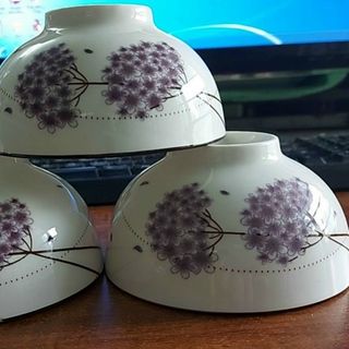 Bát ăn cơm hoa 4D Bát ăn cơm hoa 4D