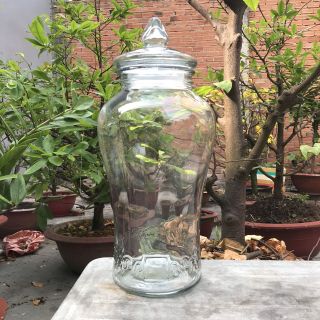 Bình Ngâm Rượu Sâm Hoa Văn Chân Mây Thủy Tinh Có Van & Không Van Bình Ngâm Rượu Sâm Hoa Văn Chân Mây Thủy Tinh Có Van & Không Van