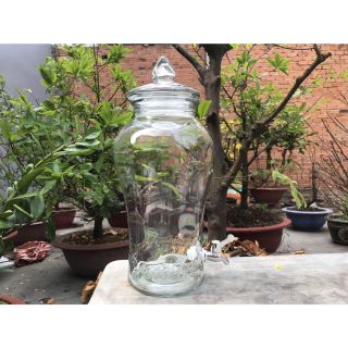 Bình Ngâm Rượu Sâm Hoa Văn Chân Mây Thủy Tinh Có Van & Không Van Bình Ngâm Rượu Sâm Hoa Văn Chân Mây Thủy Tinh Có Van & Không Van