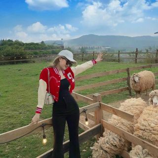 ÁO KHOÁC CROPTOP LỬNG NÚT BẤM LOGO THÊU CHỮ D TAY PHỐI MÀU SIÊU ĐẸP ÁO KHOÁC CROPTOP LỬNG NÚT BẤM LOGO THÊU CHỮ D TAY PHỐI MÀU SIÊU ĐẸP