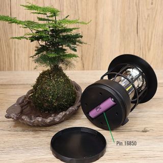 Đèn Led Măng Xông, Đèn Bão Tích Điện Trang Trí Cho Chuyến Du Lịch, Cắm Trại Dùng Pin Sạc USB Tích Điện Đèn Led Măng Xông, Đèn Bão Tích Điện Trang Trí Cho Chuyến Du Lịch, Cắm Trại Dùng Pin Sạc USB Tích Điện
