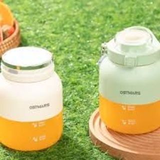 Máy xay sinh tố OSTMAR - Máy xay trái cây đa năng - Bình nước 800ml - Chất liệu an toàn - Máy xay sinh tố cầm tay