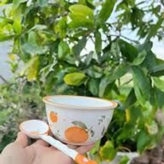 Set 2 bát kèm 2 thìa hình dâu tây, hình quả cam dễ thương Set 2 bát kèm 2 thìa hình dâu tây, hình quả cam dễ thương