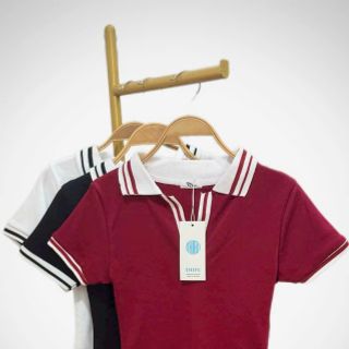 Áo Polo Cổ Bẻ Phối Viền Chất Cotton Co Giãn Mịn Mát - Freesize Dưới 53kg Áo Polo Cổ Bẻ Phối Viền Chất Cotton Co Giãn Mịn Mát - Freesize Dưới 53kg