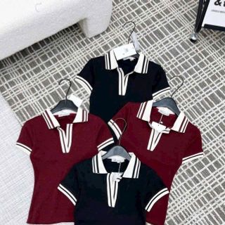 Áo Polo Cổ Bẻ Phối Viền Chất Cotton Co Giãn Mịn Mát - Freesize Dưới 53kg Áo Polo Cổ Bẻ Phối Viền Chất Cotton Co Giãn Mịn Mát - Freesize Dưới 53kg