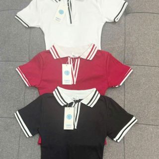 Áo Polo Cổ Bẻ Phối Viền Chất Cotton Co Giãn Mịn Mát - Freesize Dưới 53kg Áo Polo Cổ Bẻ Phối Viền Chất Cotton Co Giãn Mịn Mát - Freesize Dưới 53kg