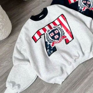 Áo SWETER nam nữ in nhiệt số 77