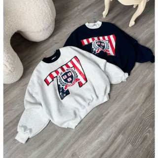 Áo SWETER nam nữ in nhiệt số 77