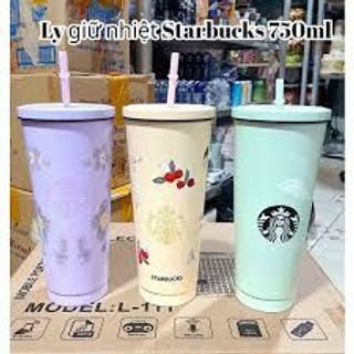 Bình giữ nhiệt 750ml inox 304 kèm ống hút