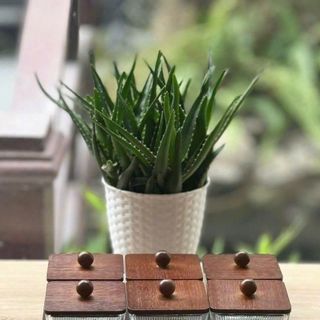 MG604 - BỘ 6 cái vuông sọc Mứt thủy tinh + nắp gỗ+ khay gỗ 